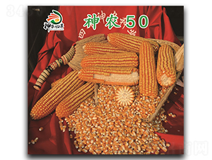 ��ũ50-��������-��ũ��ҵ