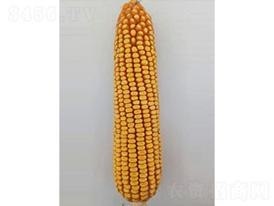 ͨ��1101-��������-�����ҵ