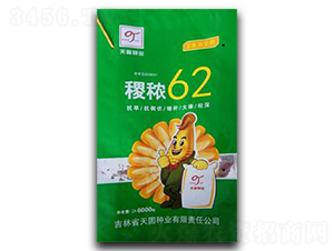 𢶌62-��������-�����ҵ