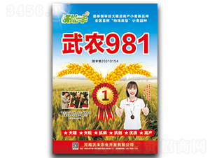 ��ũ981-С������-���ܷ�