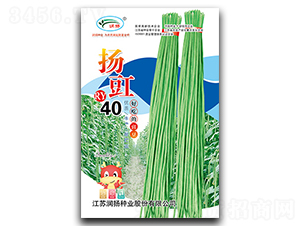 ����40-��������-������ҵ