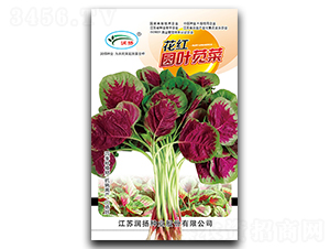 ����ԲҶ�Ȳ�-�Ȳ�����-������ҵ