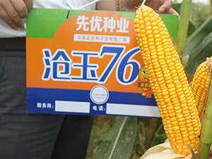 ����76-��������-������ҵ