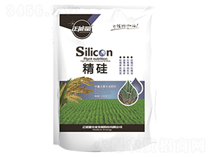 ˮ��׳��ר��Silicon��������Ԫ��ˮ�ܷ���-������