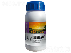 �Ǵ���-֪��-������