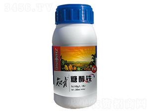 �Ǵ���-֪��-������
