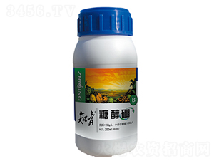 �Ǵ���-֪��-������