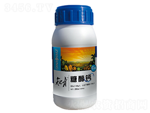 �Ǵ���-֪��-������