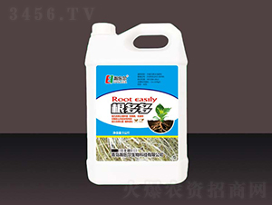 �����5kg-��ֶ�