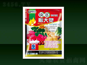 �龥�����-��ֶ�