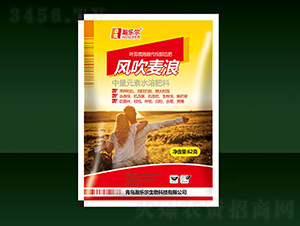 �紵����-��ֶ�