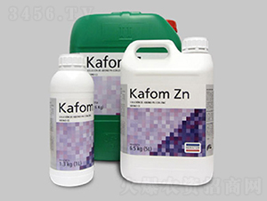 Kafom Zn ֲ�ﲡ�����߼�-����˹��