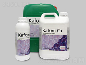 Kafom Ca ֲ�ﱣ���յ���-����˹��