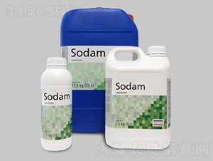 SODAM�������ᣩ ��������-����˹��