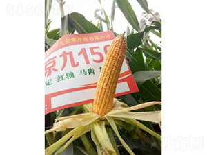 �󾩾�156-��������-�󾩾���ҵ