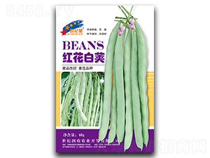 �컨�׼ԣ�40g��-�ļ�������-��һ��ҵ
