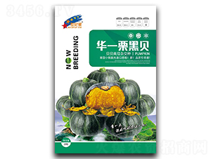 ��һ���ڱ�-�Ϲ�����-��һ��ҵ