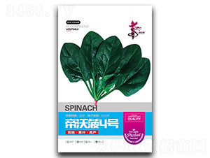 ���ֲ�4��-��������-��һ��ҵ