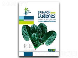 �ֲ�2022-��������-��һ��ҵ