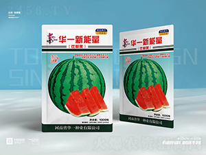 ��һ������-��������-��һ��ҵ