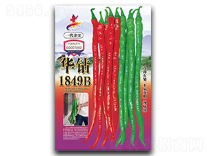 ����1849B-��������-��һ��ҵ