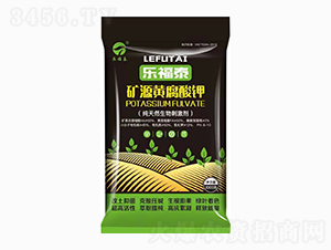 1000g��Դ�Ƹ����-�ָ�̩