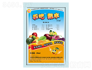 20ml�ְ�����-������