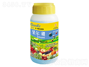 250g�����Ǵ���ˮ����-������