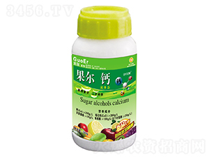 300g�����Ǵ���-������