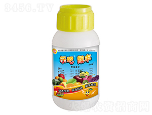100g����-�ְ�-������