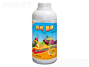 1000g����-�ְ�-������
