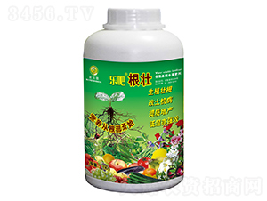 1kg��׳-�ְ�-������