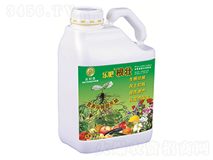 5kg��׳-�ְ�-������