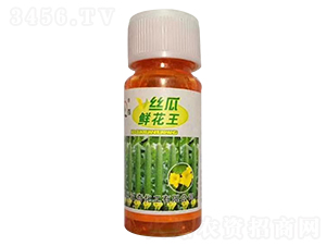 20ml˿���ʻ���-���滯��