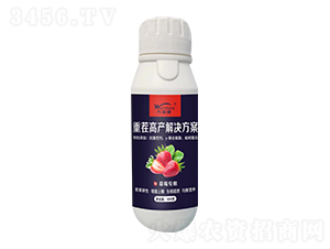 500g�ز�߲��������-��Ķ��