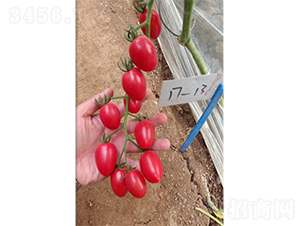 ӣ�ҷ���233-��������-���ζ�����