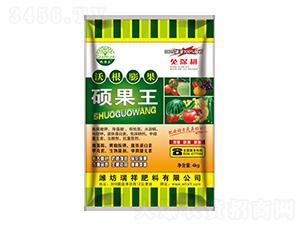 �ָ����˶����-�������
