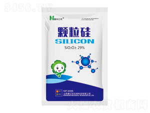 ������200g-����ũ