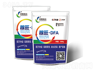 ������DFA-ŷ������
