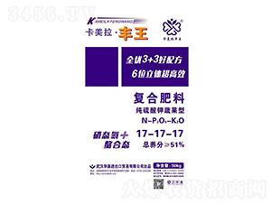 ���Ϸ���17-17-17-������������-����