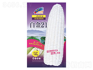 �׽�21-��������-��һ��ҵ