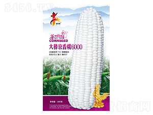 �������Ŵ6000-��������-��һ��ҵ