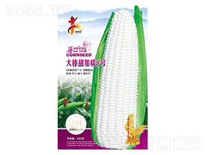 ������Ŵ8��-��������-��һ��ҵ