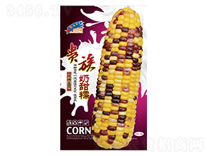 ��������Ŵ-��������-��һ��ҵ