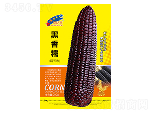 ����Ŵ��Ŵ���ף�-��������-��һ��ҵ