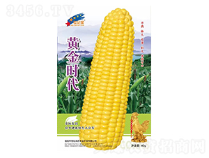 �ƽ�ʱ��-��������-��һ��ҵ