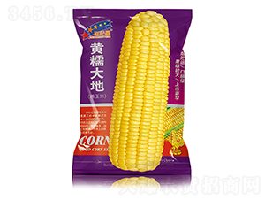 ��Ŵ���-��������-��һ��ҵ