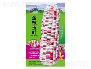��֦��Ҷ��������Ŵ��-��������-��һ��ҵ