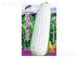 ����Ŵ2000-��������-��һ��ҵ