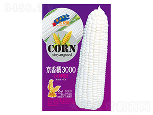 ����Ŵ3000������ͣ�-��������-��һ��ҵ